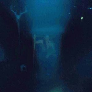 Meet your Posher, Greg